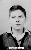 Cecil Gibson